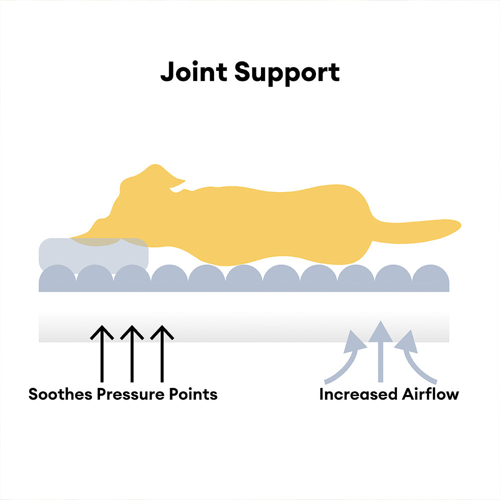 Large Washable Fluffy Orthopedic Soft Dog Sofa Pillow