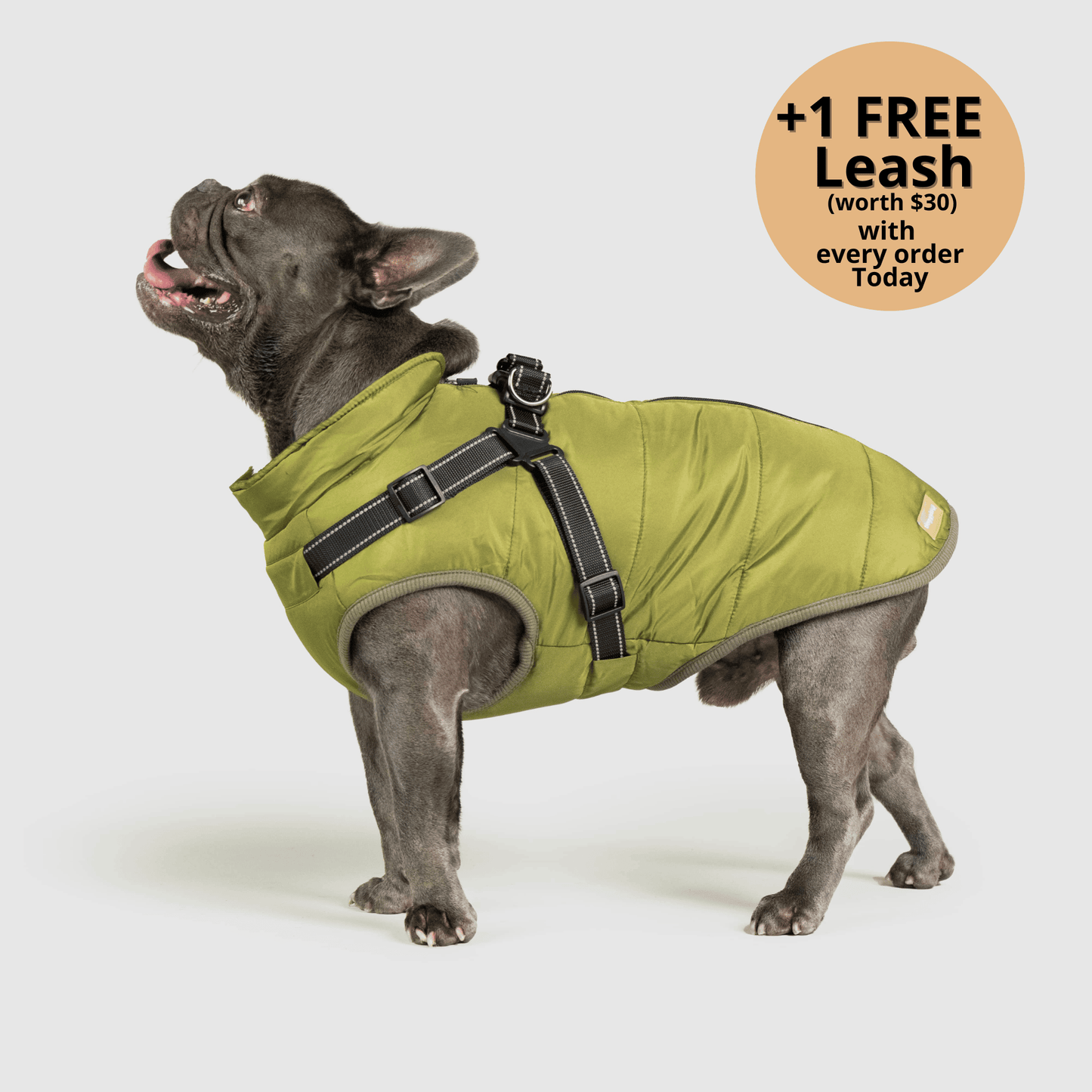 FurryHaze™ 3 in 1 Winter Jacket