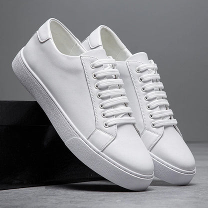 Torino Genuine Leather Sneakers