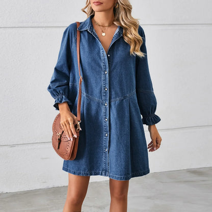 Belrose Denim Mini Dress
